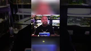 29 Gallon vs 20 Long Tank: Which Is Better