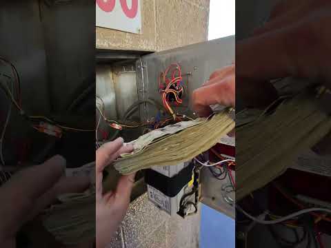 I Take Em Fat Just Like This