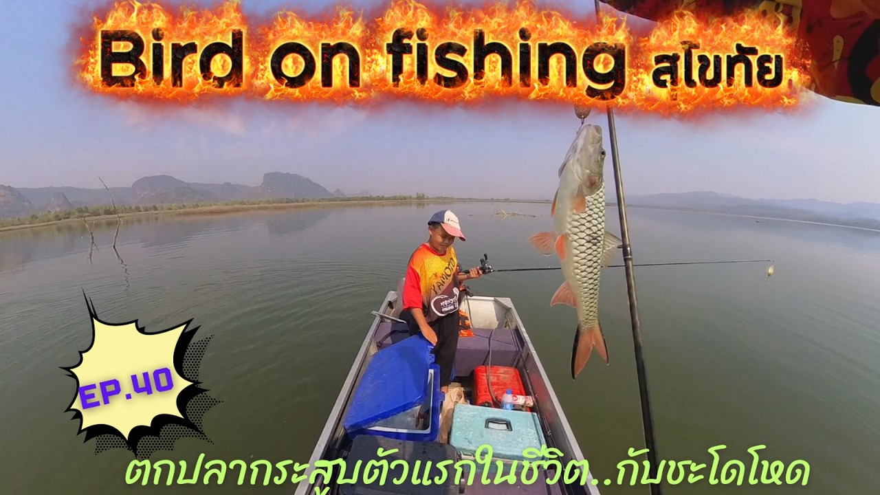 EP.40 ตกปลากระสูบตัวแรกของลูกชาย กับชะโดป่าโหดๆ #ตกปลาชะโด #ตกปลากระสูบ #fishing #xbait #เต็มคำ