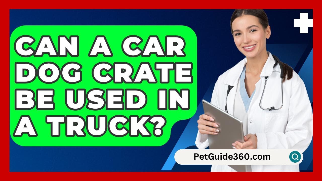 Can A Car Dog Crate Be Used In A Truck? - PetGuide360.com