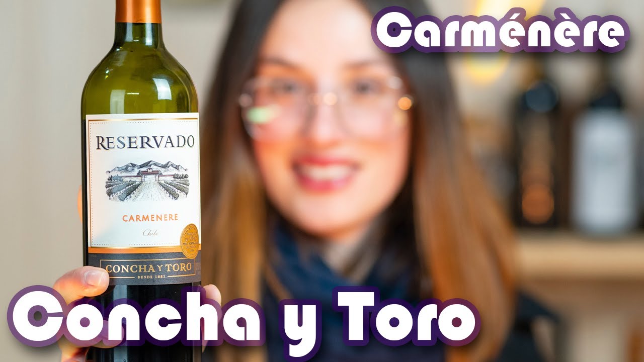 Carménère Concha y Toro Reservado - Bom igual ao Cabernet Sauvignon?