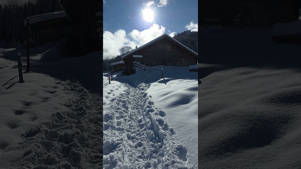 Grütschalp MÜRREN Skiing Hiking Wanderung 