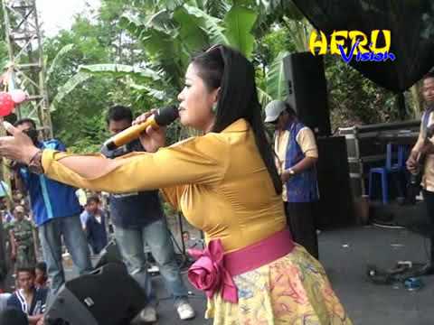 METRO LILIN HERLINA BAWANG MERAH live jetis nambuhan