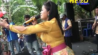 METRO LILIN HERLINA BAWANG MERAH live jetis nambuhan