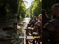 Viking longships were true engineering marvels of the medieval era. #history#fyp #foryou #fypシ