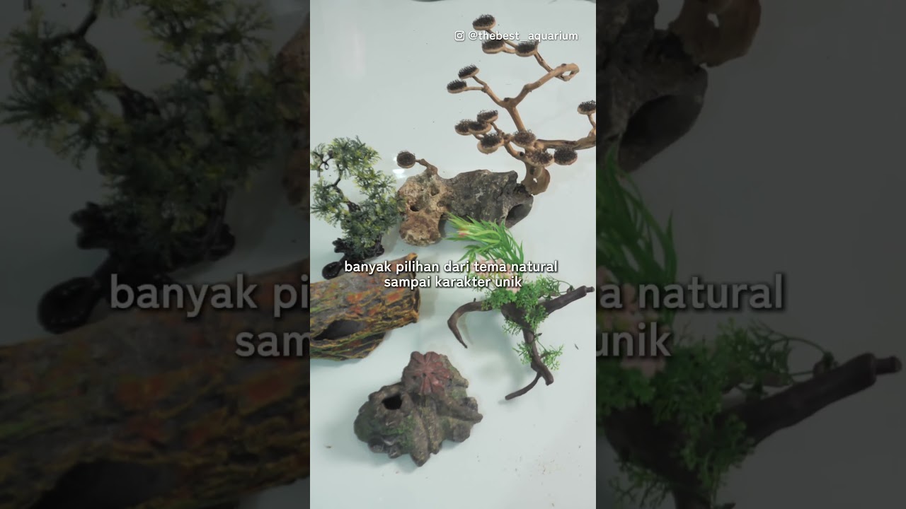 Macam-Macam Aksesoris Aquarium