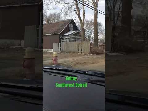 ديلراي داخل جنوب غرب ديترويت تبدو مهجورة وحزينة 