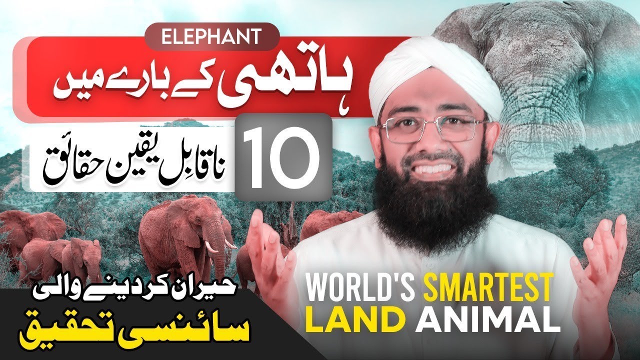 SHOCKING Facts about Elephants (Latest Research) | Soban Attari | Elephant Trunk and Tusks Secrets