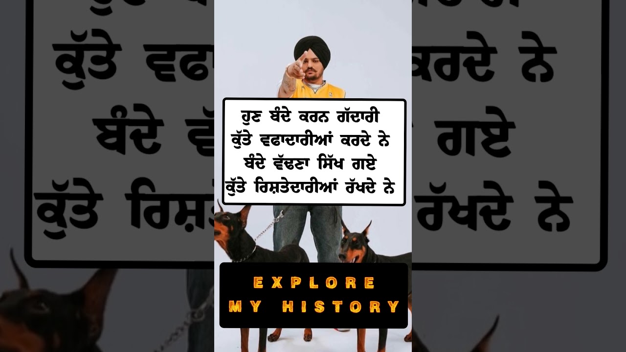 ਕੁੱਤੇ ਵਫਾਦਾਰੀਆਂ ਕਰਦੇ ਨੇ 