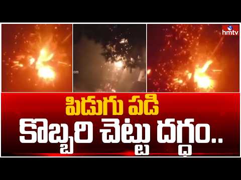 పిడుగు పడి కొబ్బరి చెట్టు దగ్ధం.. | Unseasonal Rains In Annamayya | hmtv - HMTVNEWS