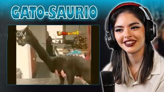 MEMES RANDOM #339 (Yo soy BETH)