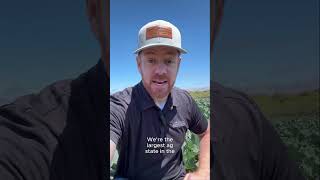 Saving Hollywood… and Abandoning Agriculture? #SupportFarmers #CaliforniaAg #AgIsEssential