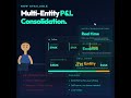 Consolidated P&amp;L Enterprise Tool, SMB Price #accounting #businessfinance #businessowner