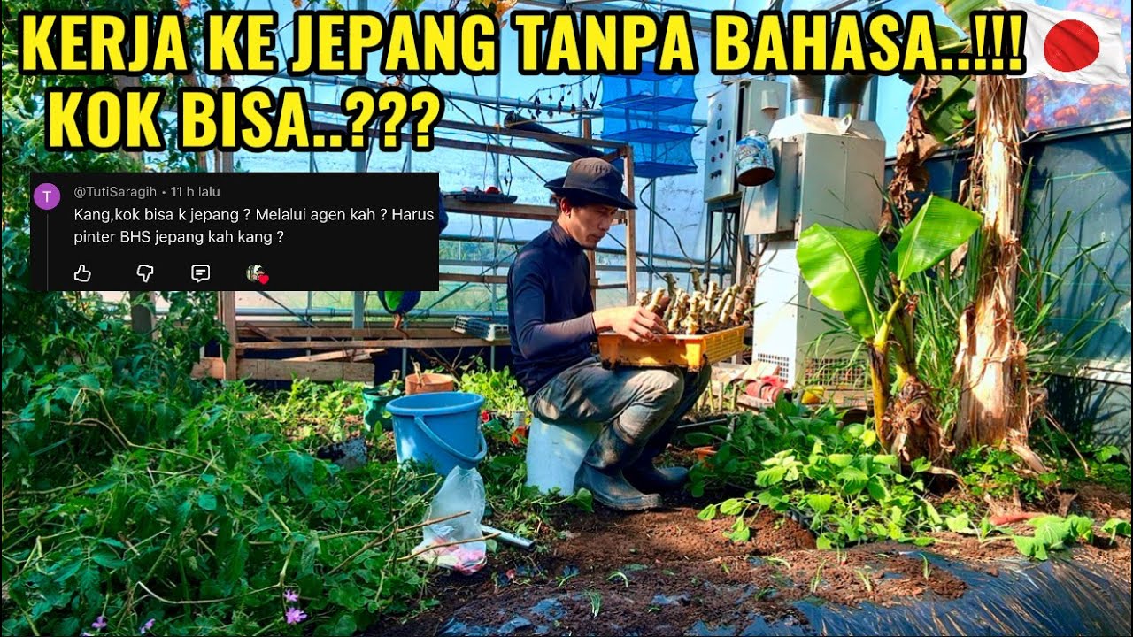 Kerja ke jepang tanpa bahas jepang tanpa masuk PT bisa berangkat sendiri