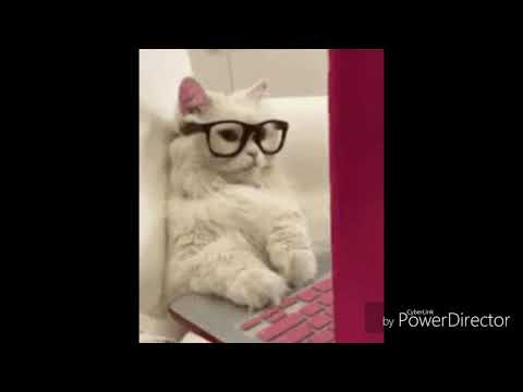 صور مضحكة جدا ههههه 