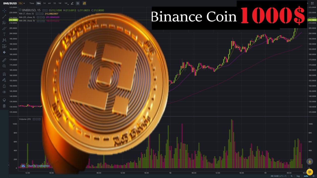 Best Binance Coin Cryptocurrency To Invest In Feb 2021 Youtube