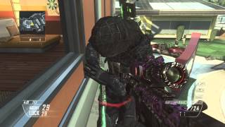 So I Get On BO2 FFA and... (HITMARKER Bill !)