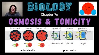 Osmosis &amp; Tonicity (with Ms. Haller)