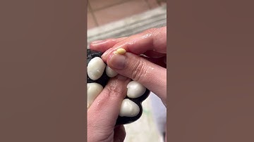 Boris Mochi Pimple Popping #pimplepopping #satisfying #visualasmr #relax #cats #fypシ