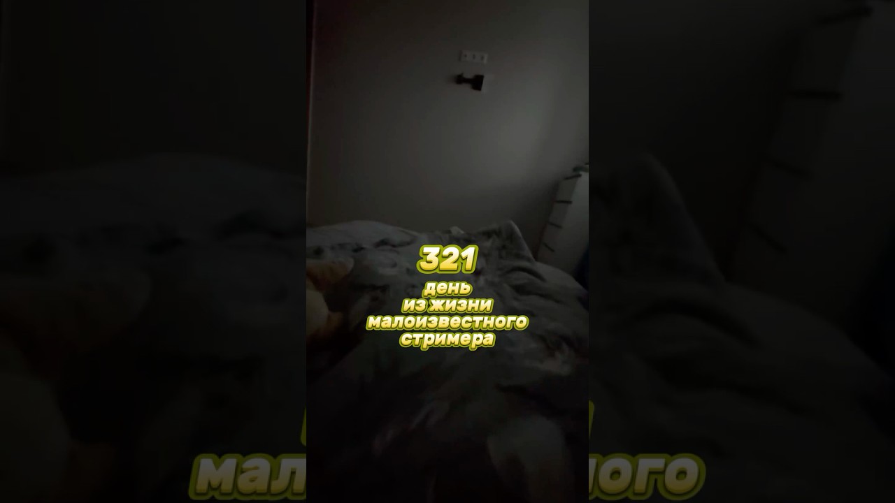 321й день из жизни малоизвестного стримера 