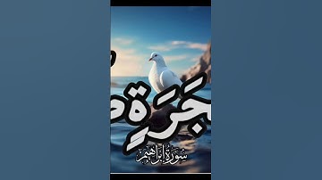 سورة ابراهيم #quran #دويتو #دعاء #duet #صباحالخير #لايك #دعاءمستجاب #تيك_توك #حالاتواتس #حالات_واتس