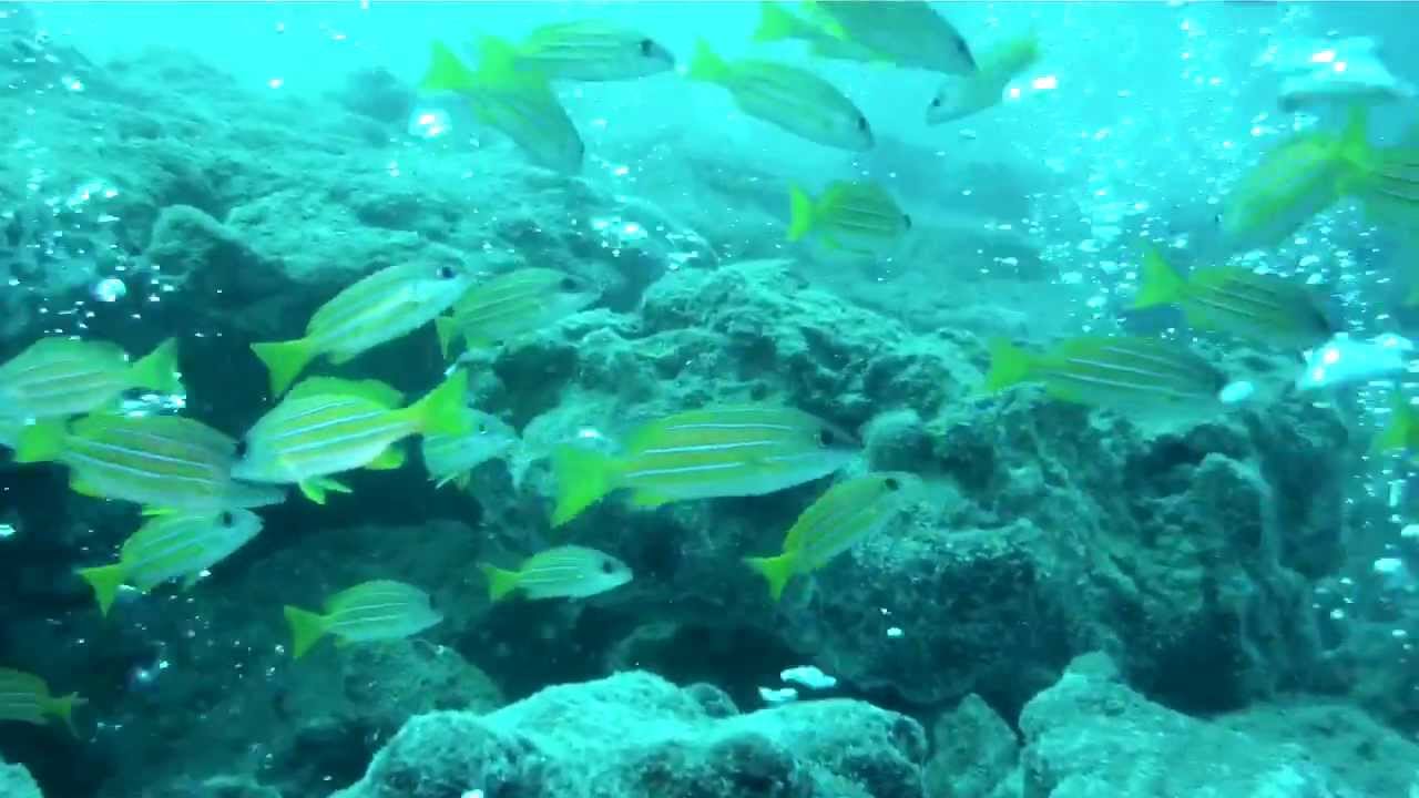 Down Under Weh Island