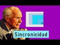 ¿Qué es sincronicidad? | ¿Coincidencia o mensajes inconscientes?