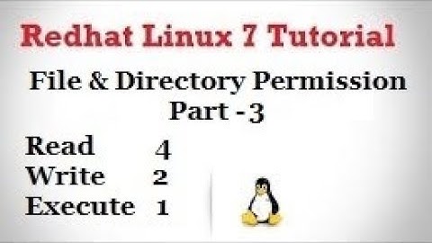 Basic Permission of Linux ( Read, Write & Execute ) Part - 3, Video No - 38