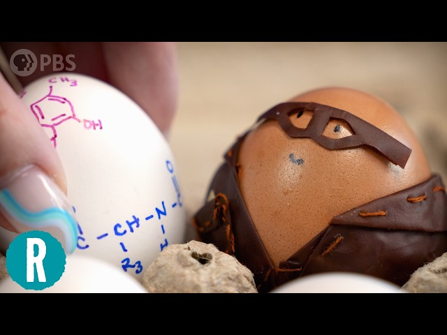 Video: This Egg Leather is About Dinosaurs