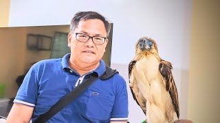 Tour Of Philippine Eagle Center In Malagos, Davao City (Part 2) #eagle #extinction #eagles