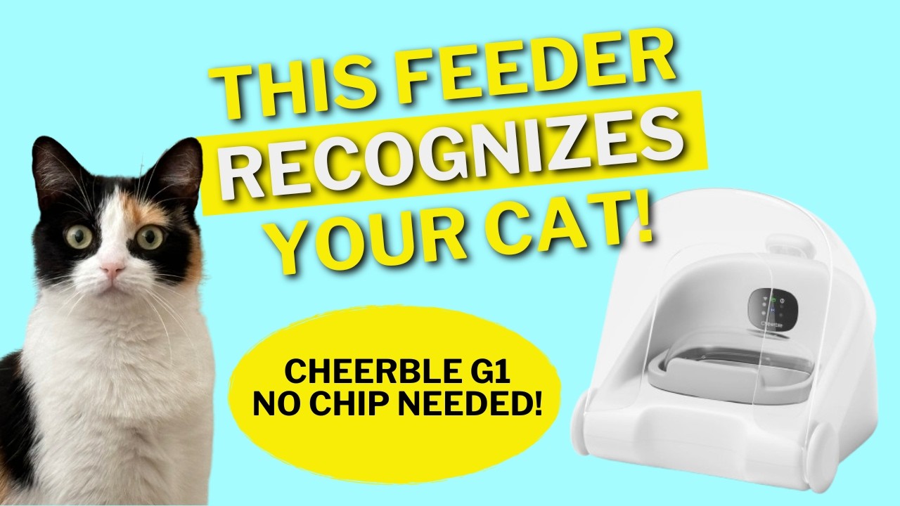 キャットページ Cheerble Match G1 Review: AI Face ID Cat Feeder That Stops Food