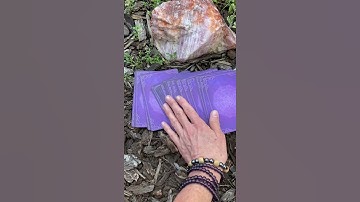 Oracle Card Reading #shorts #oraclecards #tarot