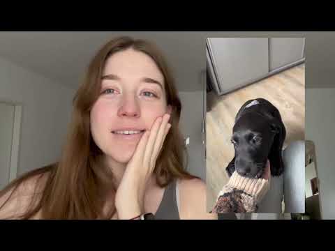 Spend a week with me | Harry Potter and LotR Orchester, reading, cooking and unboxing ✨