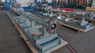 Subtor Progressing Cavity Pump