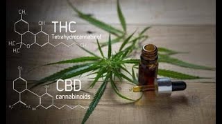 MARIJUANA MORPHIC FIELD