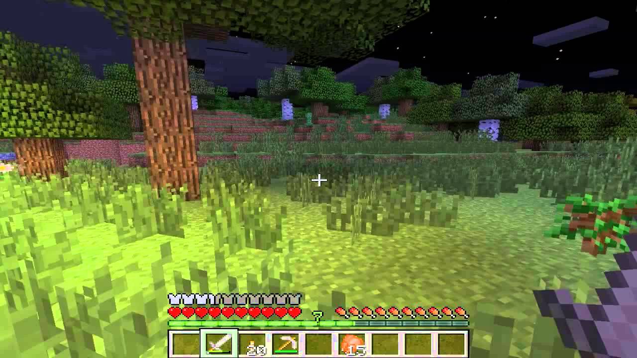 Minecraft ~ CodexMC ~ -S2 E02- First day madness part 2