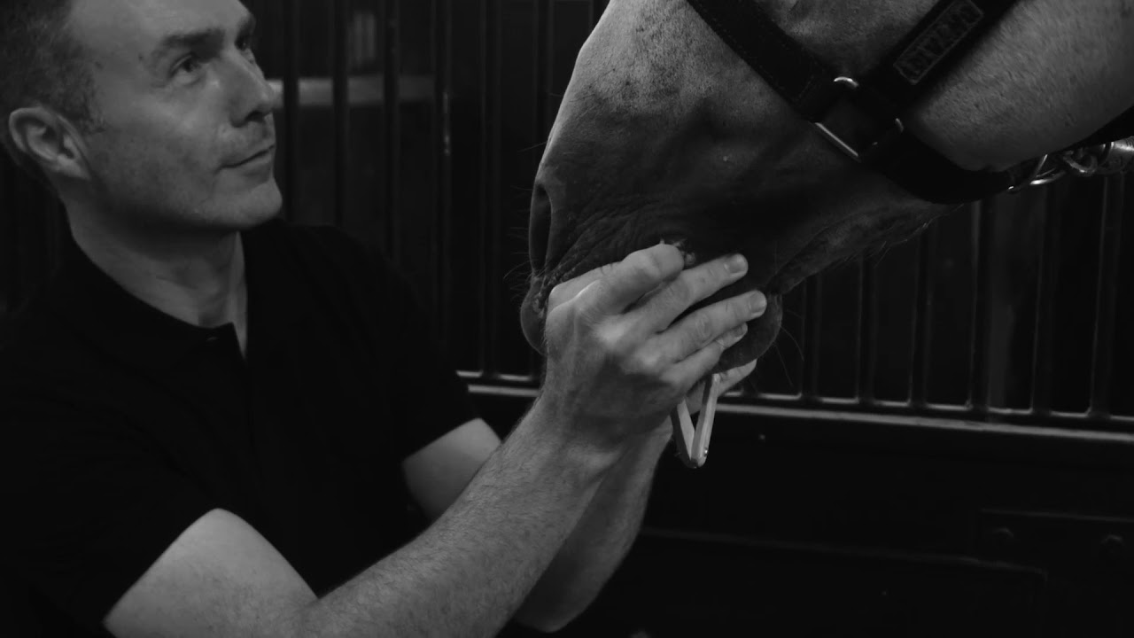 LONDON CRAFT WEEK | LLADRÓ