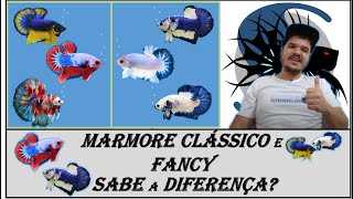 Betta Mármore Clássico E Mármore Fancy