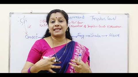 CLASS10: OUR ENVIRONMENT: PART1