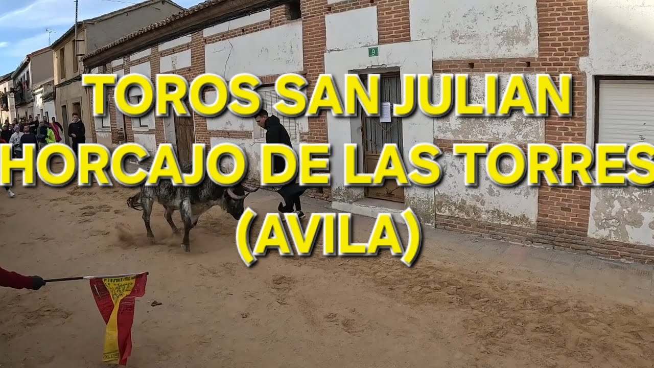 TOROS FIESTA SAN JULIAN, HORCAJO DE LAS TORRES (Avila)