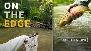 Fishing the Edges - Bigger Flies for Bigger Trout and Fun Fishing
