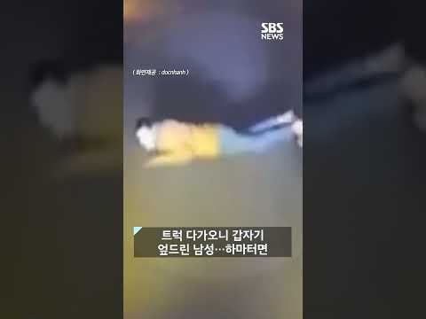 달리는 트럭 앞에 나타나 떡하니 &amp;#39;황당&amp;#39;…하마터면 대형사고 #shorts