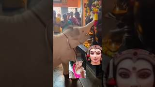 गलती से इग्नोर मत करना #shortvideos #youtube #trending #aasha vishwakarma ✅✅