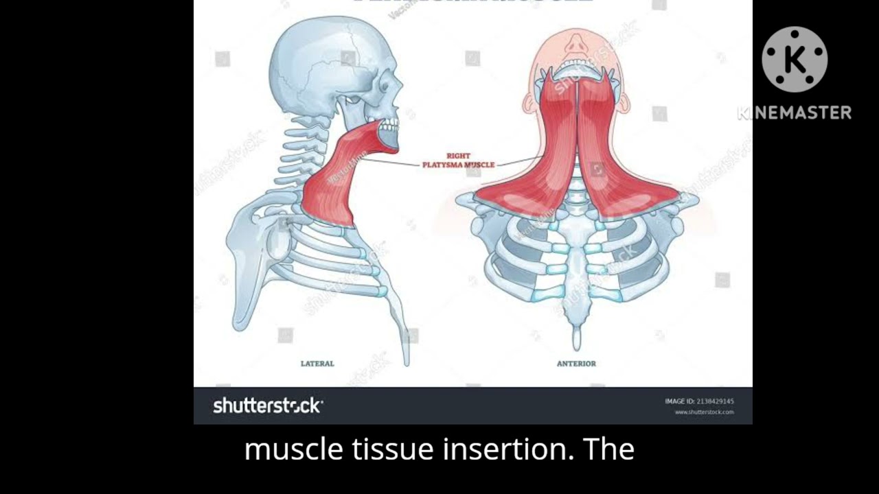 ‪@zeeshan_physiovedic‬
