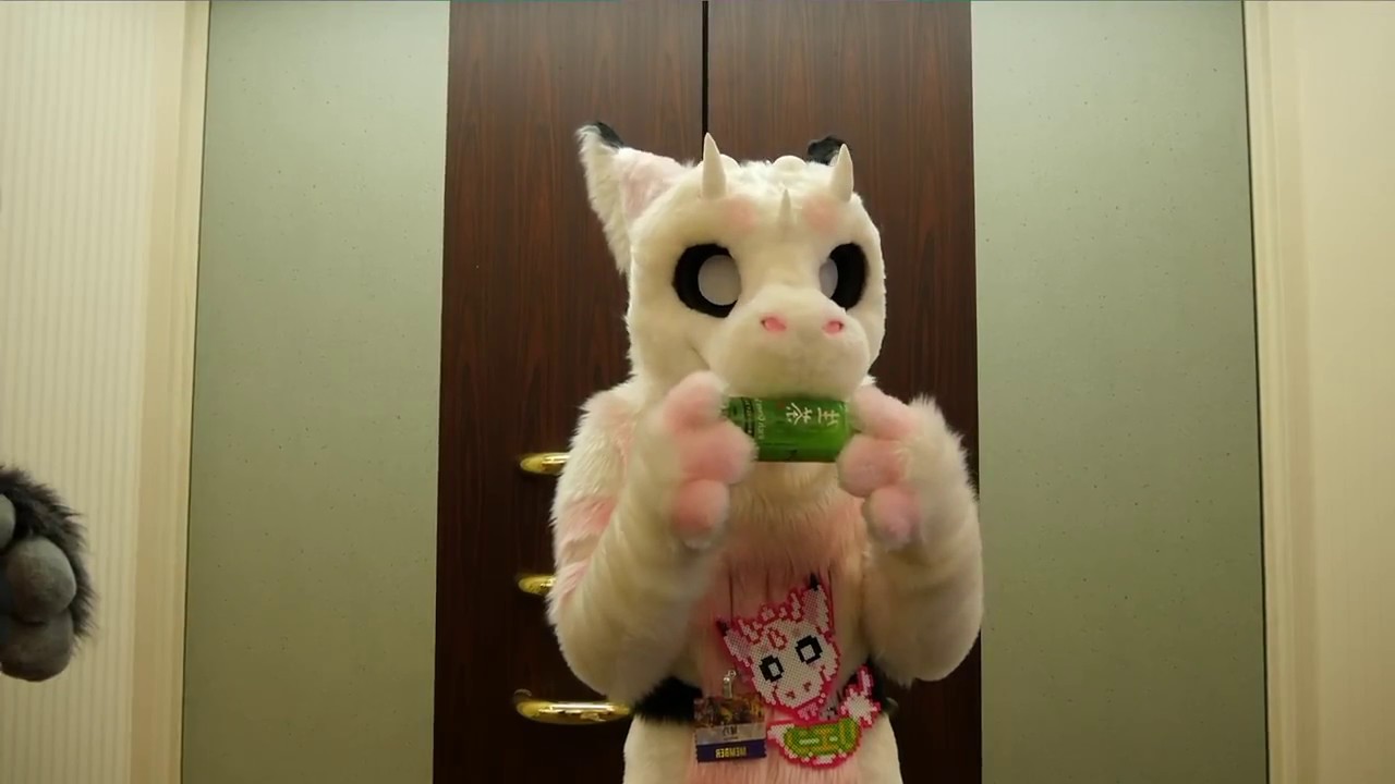 fursuit ケモノ着ぐるみ ] twitter投稿動画 ( JMoF 2018での撮影分
