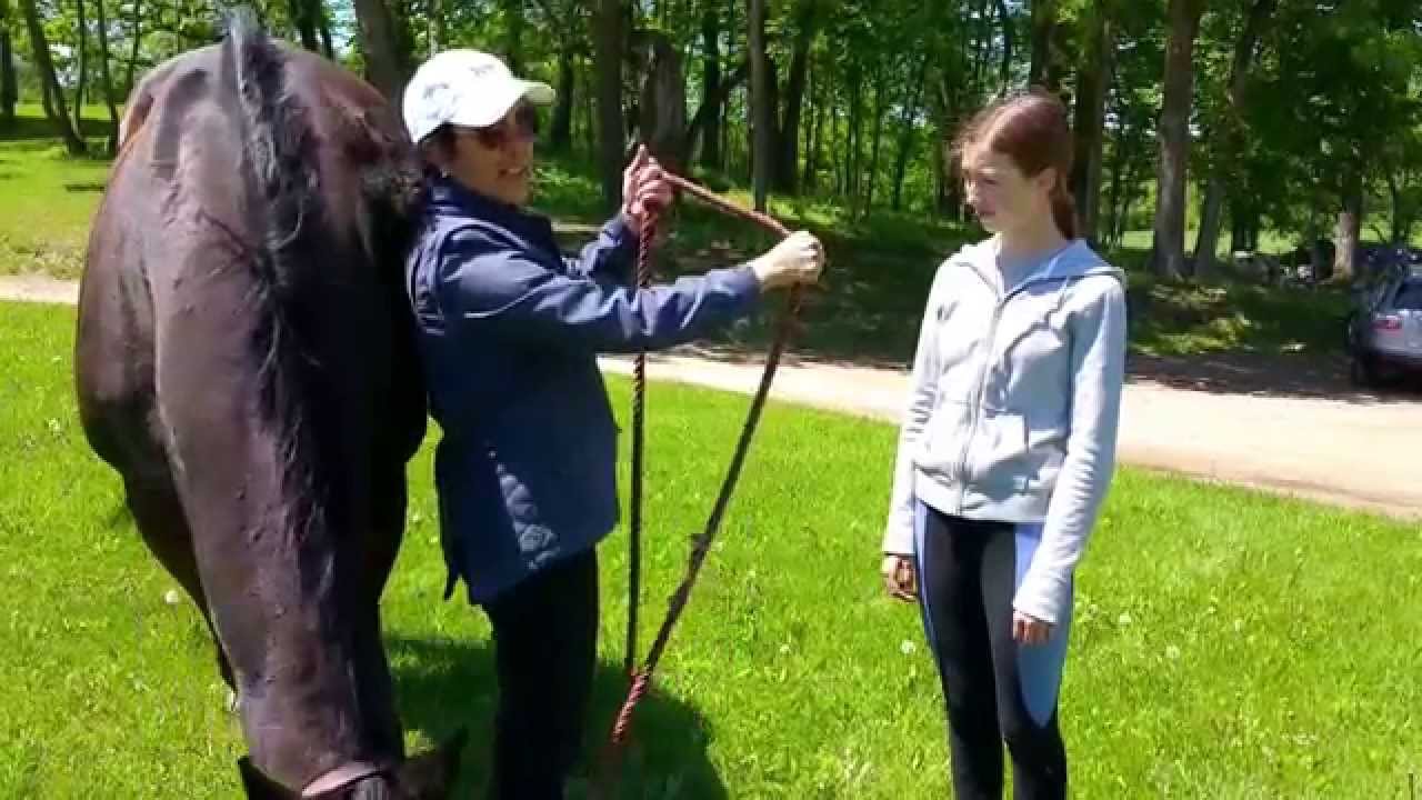How To Safely Lead a Horse and Hold a Rope YouTube