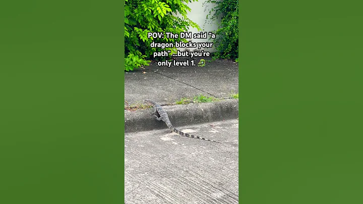 #dndirl #dndmemes #ttrpg #dungeonsanddragons #rpgmemes #fantasyhumor #dicegoblin #ttrpgmemes