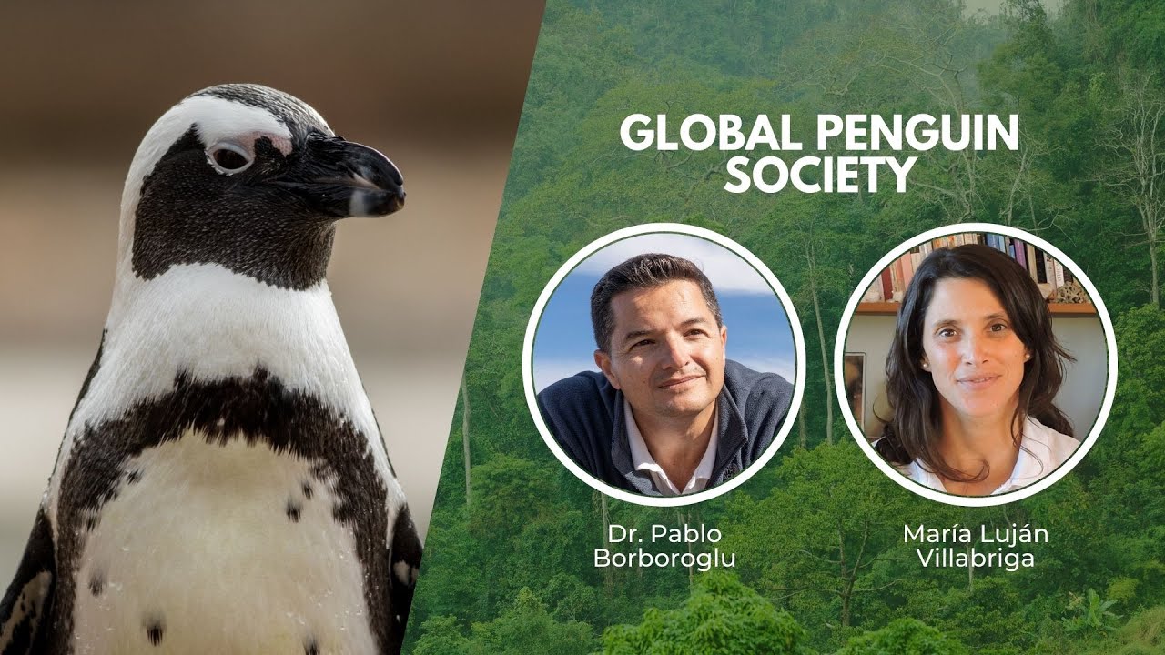 Protecting Penguins and Their Habitats | Wildlife Conservation Expo 2022