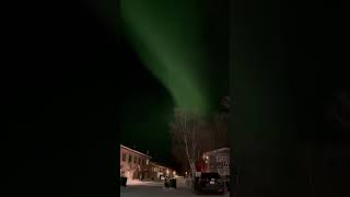 IMG 6519