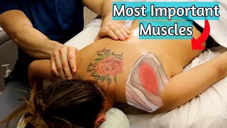 The Most Important Muscles to Work in A Back Massage